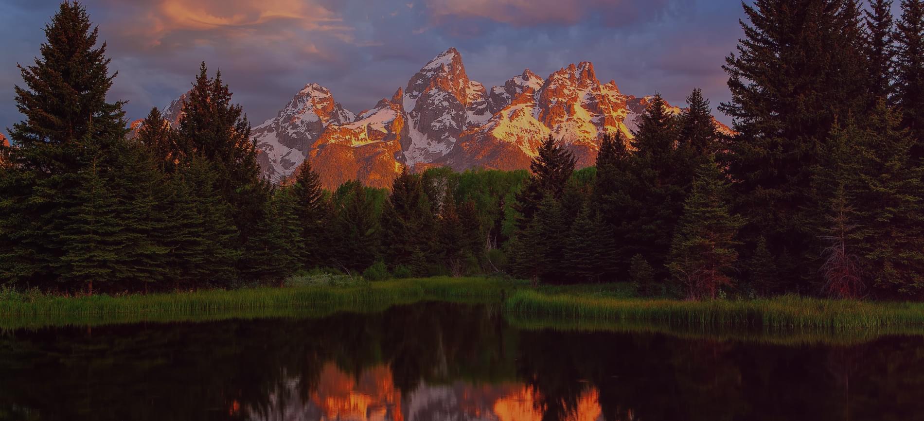 Мы любим природу и заботимся о ней